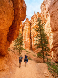 Clear Sky Resorts: Bryce Canyon Lodging | Cannonville, UT